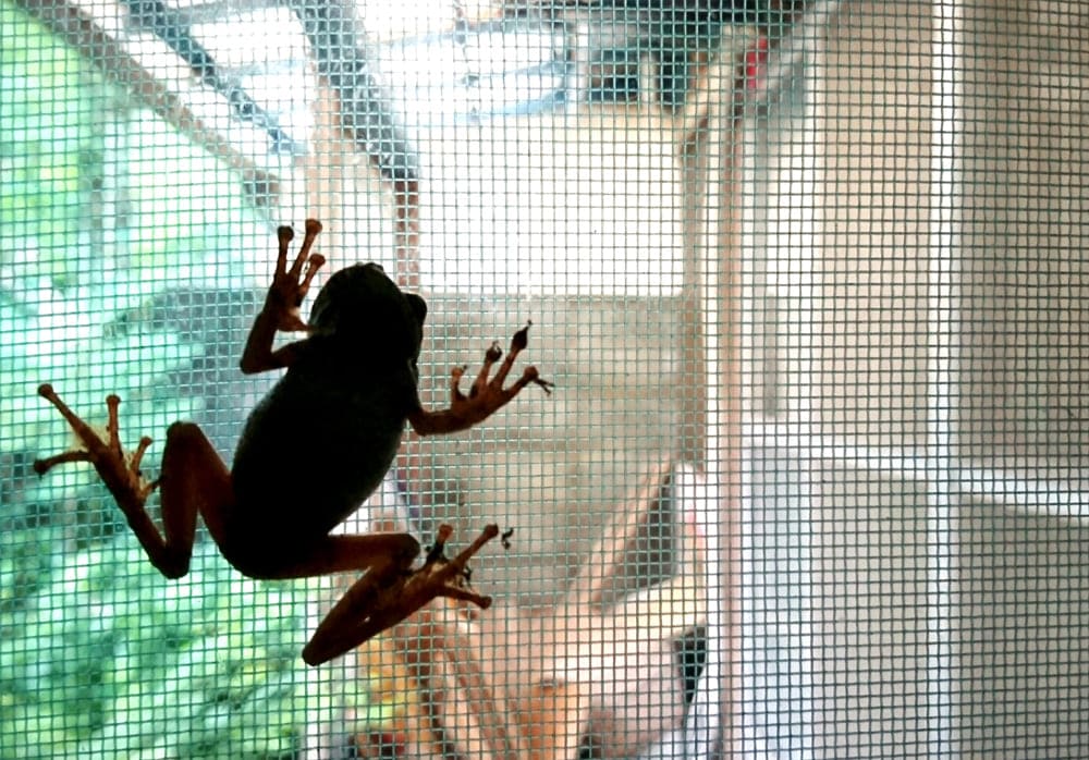 外回り｜リフォーム・リノベーション02｜新築・リフォーム・修繕｜株式会社伊豆急ハウジング