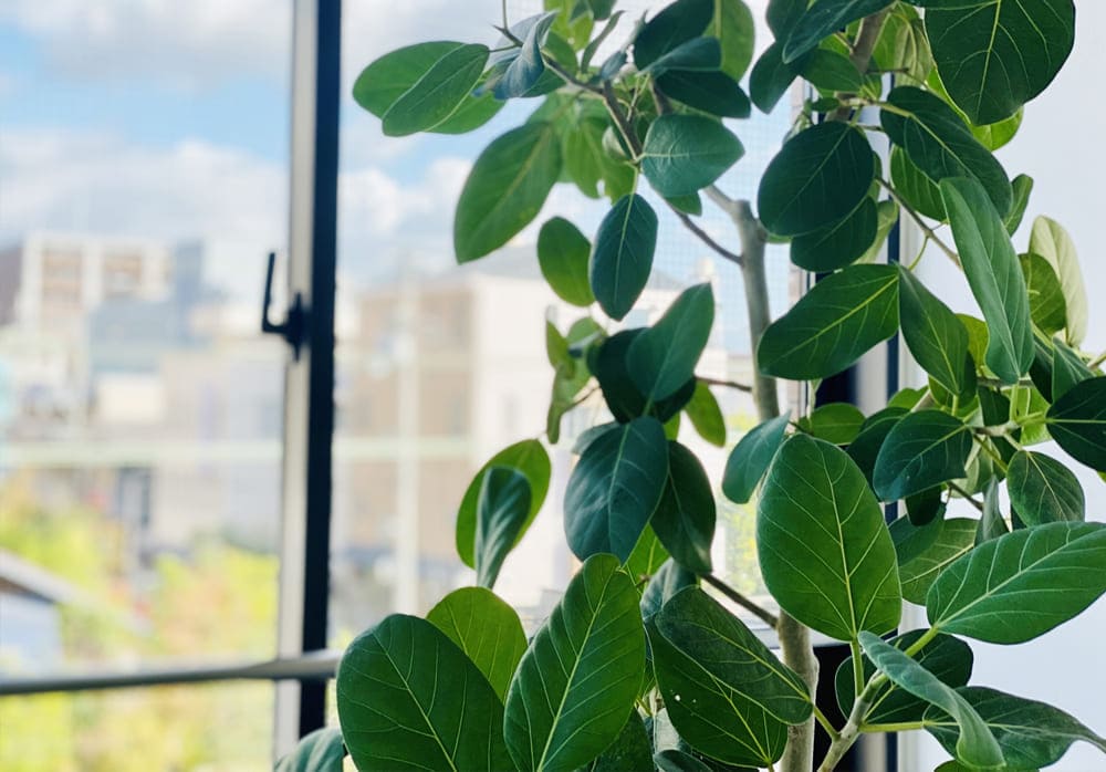 各種点検・検査・測定｜新築・リフォーム・修繕｜株式会社伊豆急ハウジング