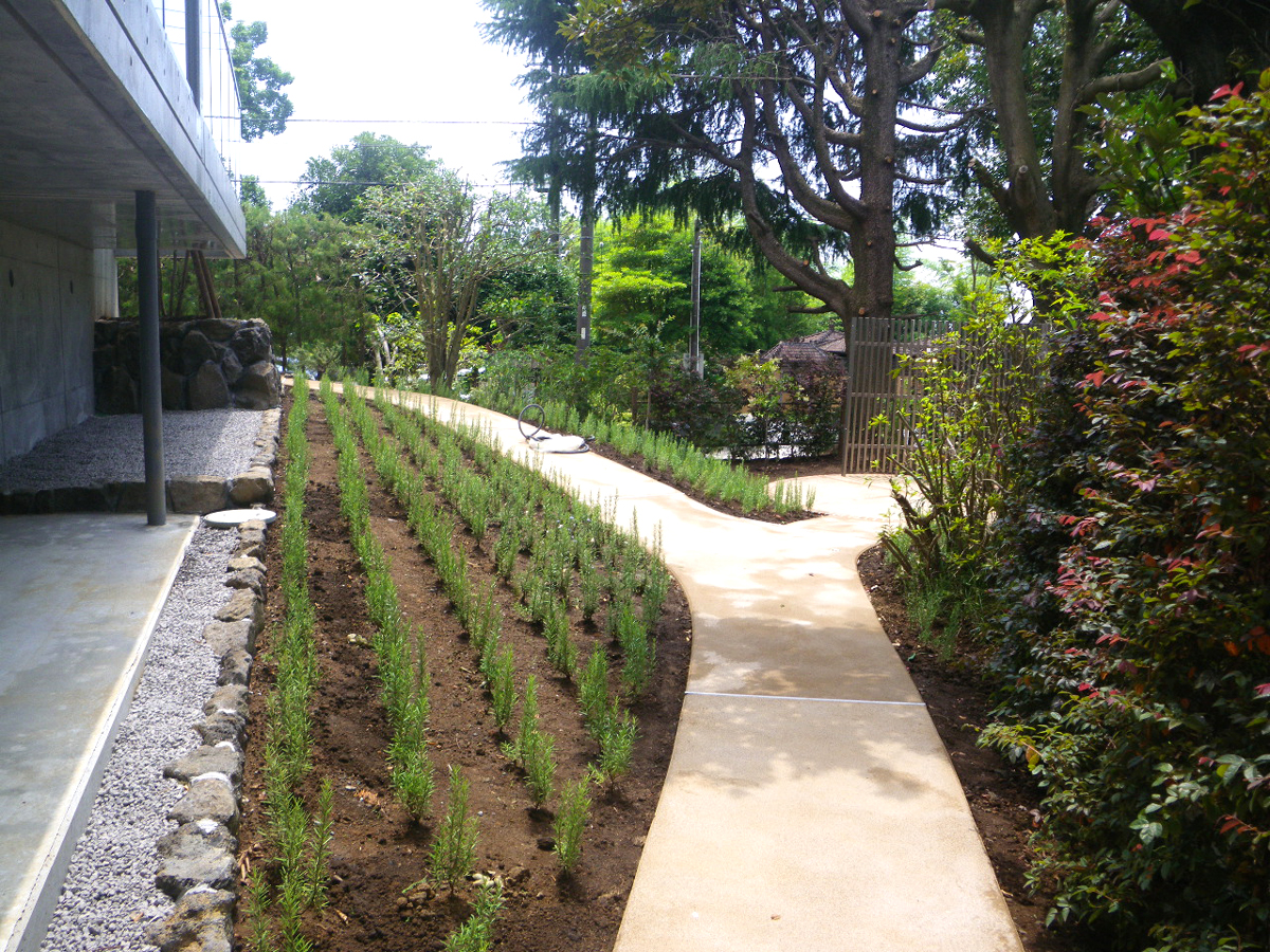 一般住宅中庭｜造園の施工事例｜新築・リフォーム・修繕｜株式会社伊豆急ハウジング0